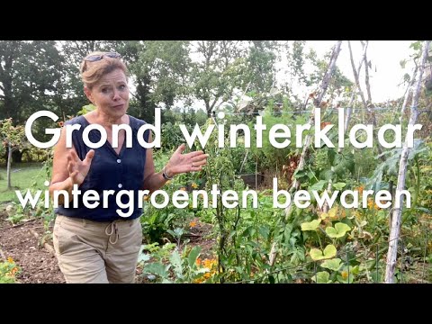 Video: Pompoen Bewaren In De Winter