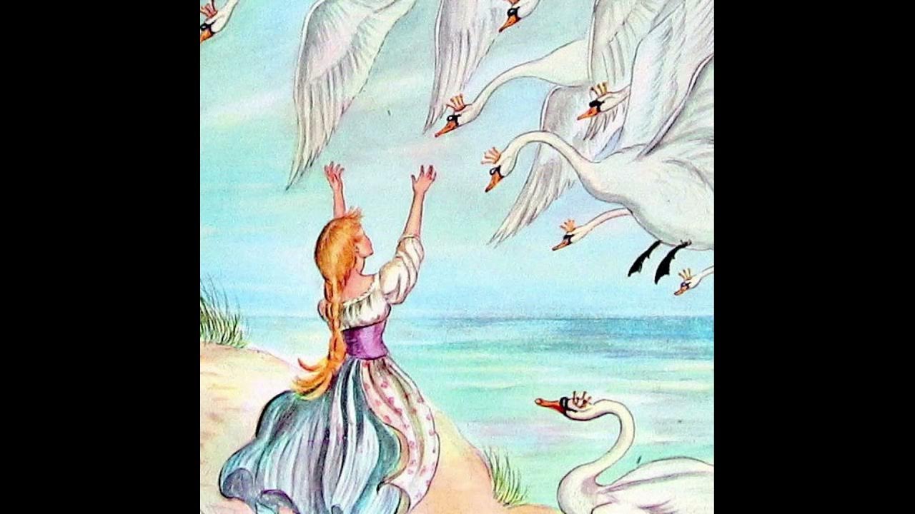 Сказка. Дикие лебеди ханс кристиан. О чем сказка дикие лебеди андерсена. Дикие лебеди ханс кристиан андерсен. Дикие лебеди ханс кристиан.