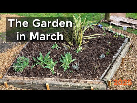 Relaxing Garden Vlog, March 2025