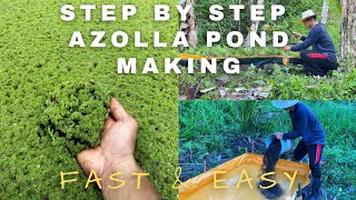 Paanu Gumawa ng Azolla Pond (Step by Step) Fast & Easy Way