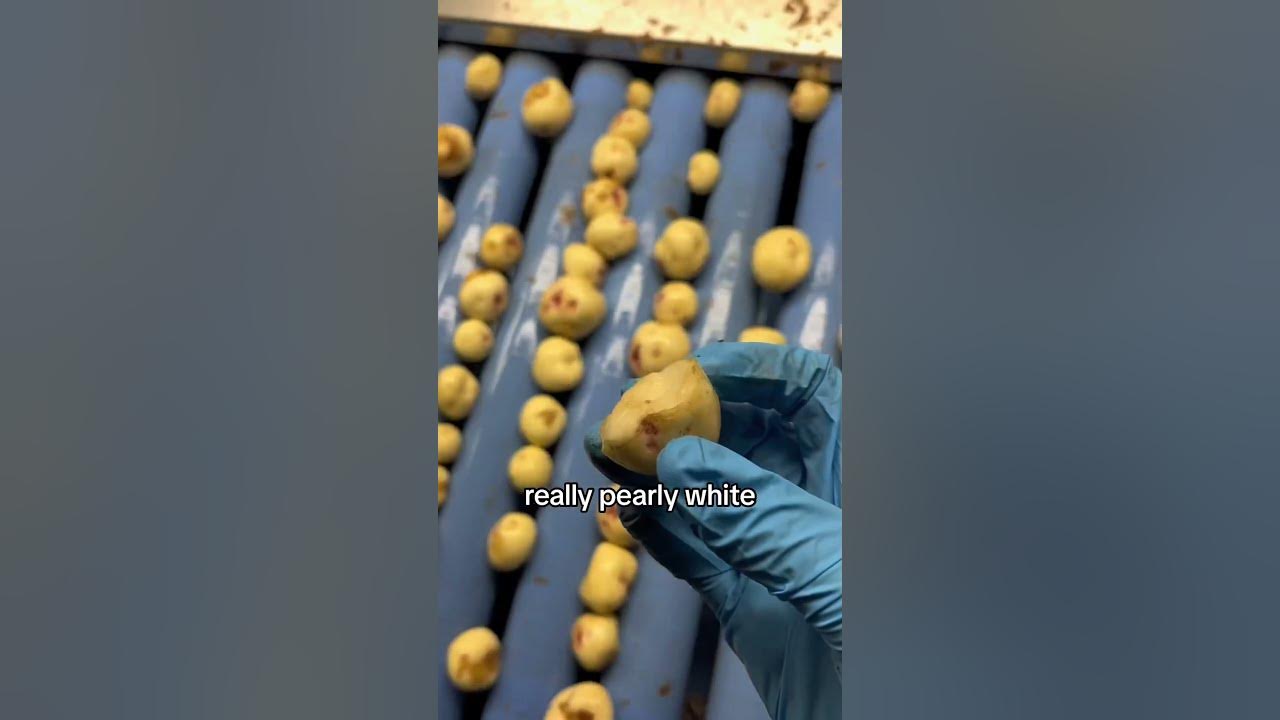 Most expensive potatoes in the World 🥔 YouTube