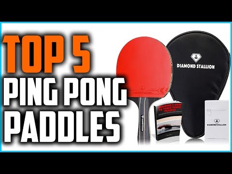 top-5-best-ping-pong-paddles-in-2020
