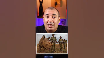 مش هتصدق ليه وحيد القرن متشعلق كده في الهوا 