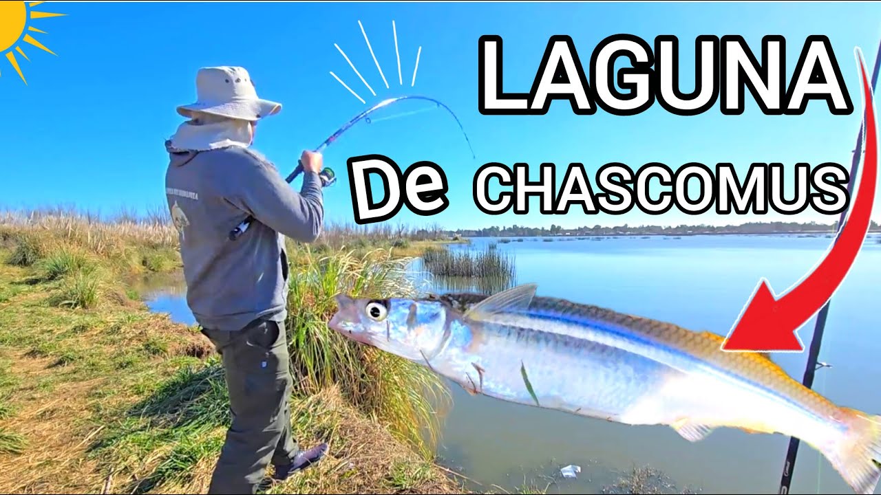 ENCONTRÉ UN LUGAR GRATIS, lleno de PEJERREY y facil de llegar, pesca en  laguna de chascomus mjpesca