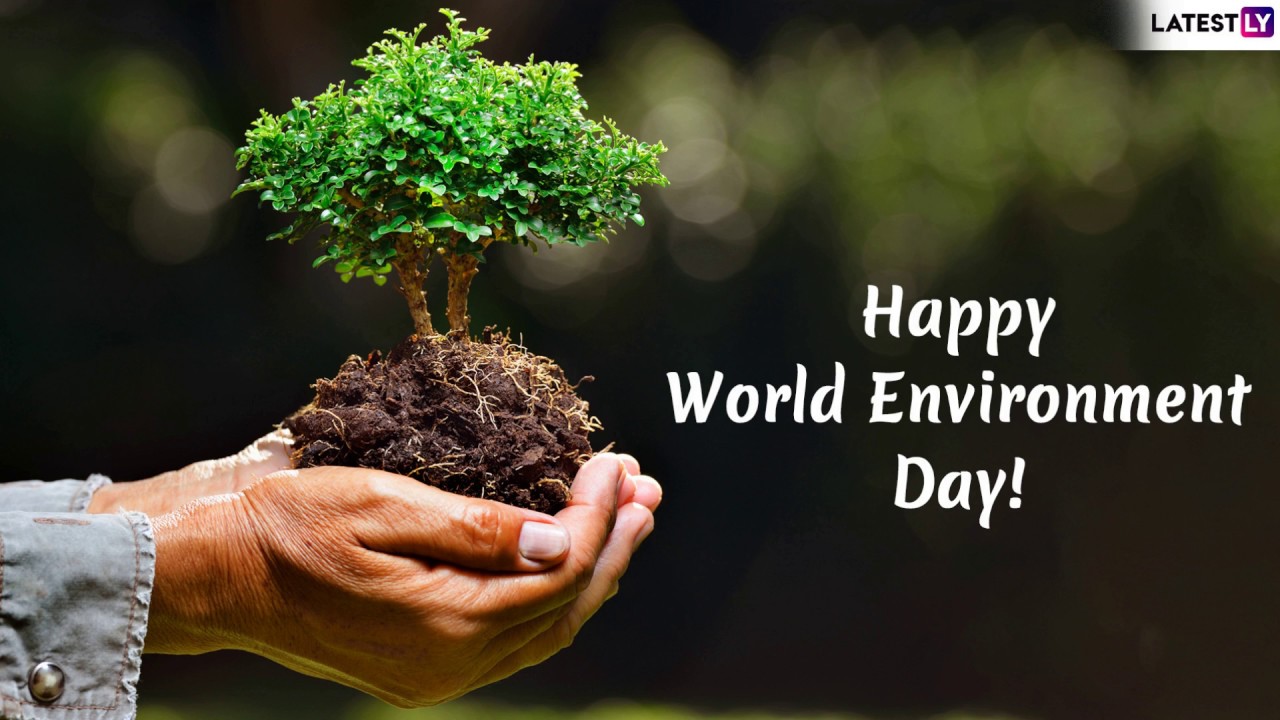 World Environment Day 2019 Wishes: Messages and Quotes to Send ...