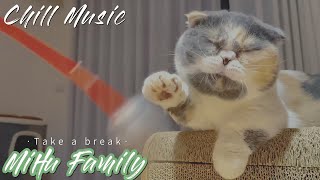[Chillout with kittens] Mochi or 'Pringles' ｜Chill Music, Background, Work, Sleep, Meditation by Mihu family Take a break 135 views 5 months ago 16 minutes