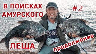 Рыбалка на фидер. В поисках Амурского леща. Часть 2. Ломаем удилище Нормунда Грабовскиса!