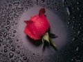 Dime Como Olvidarte - GRUPO CANEO. DJpapo Soria.♪♪♪♪