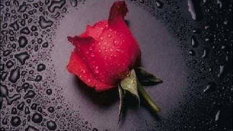 Dime Como Olvidarte -  GRUPO CANEO.  DJpapo Soria.♪♪♪♪