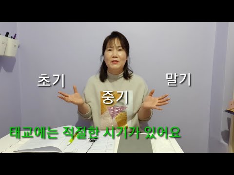 임산부선물