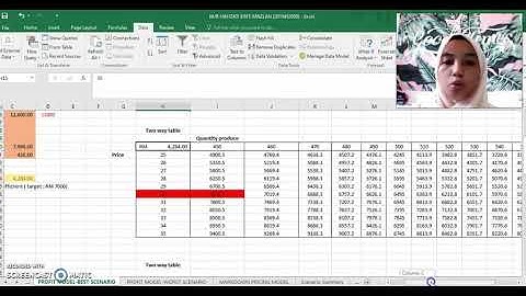 FIN 534 SCENARIO AND SENSITIVITY ANALYSIS