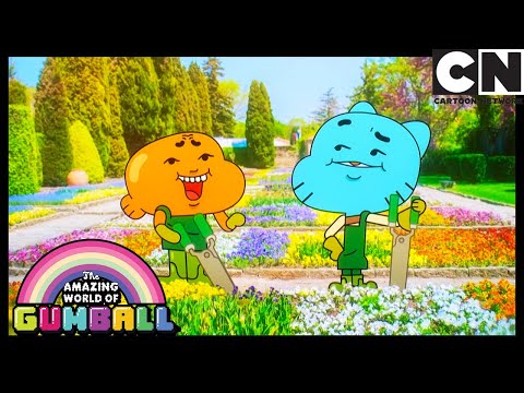 At Least They Tried | The Petals | Gumball | Cartoon Network