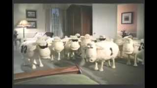 Serta Rapping Sheep