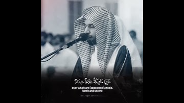 يا أَيُّهَا الَّذِينَ آمَنُوا قُوا أَنْفُسَكُمْ - القارئ أنس الميمان #حالات #قران_الكريم #quran