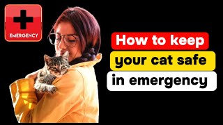 How to keep your cat safe in emergency|| cat catastrophe preparedness by Cat Supplies 172 views 7 months ago 6 minutes, 29 seconds