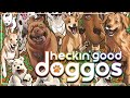 Heckin good doggos trailer