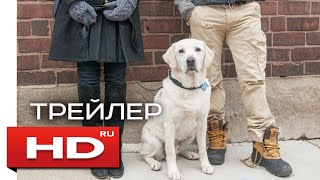 Имущество с хвостом - Русский Трейлер (2016) Имущество с хвостом - Русский Трейлер (2016)