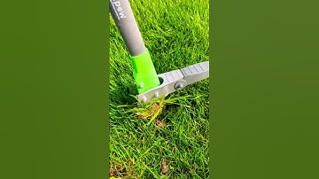 Best Weed Puller | Stand UP #review #productzone #tool
