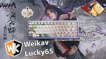 WEIKAV LUCKY65 | Tên là  "MAY MẮN" nhưng ẩn chứa nhiều XUI XẺO | Hướng dẫn tải và dùng Driver