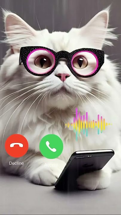 iPhone ringtones πΆπΆ#ringtone #ring