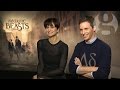 Fantastic Beasts cast: 'A bunch of squirrels together ... that's pretty fantastic'
