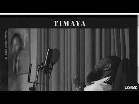 video-:-timaya-ft-ali-kiba---number-one