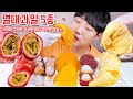 두리안 망고 패션후르츠 열대과일 리얼사운드 먹방 | 리치 람부탄 | Durian & Fruit Eating show MUKBANG ASMR