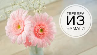 Paper GERBERA / ГЕРБЕРА  из бумаги / DIY TSVORIC