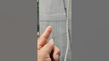 Hiện tượng nứt cổ trần gây thấm, cách khắc phục. #ucomat #chongtham #nutcotran #chongthamtuong