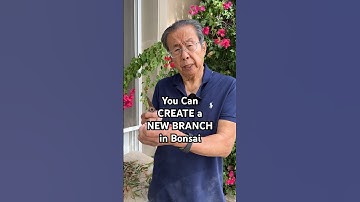 How to Force a NEW Branch to Grow on Your Bonsai #bonsai #bonsaitree #gardening #plants #shorts