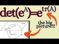Matrix exponentials, determinants, and Lie algebras.