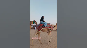 V13 FAB Safari Abu Dhabi 2024 By RENOVA EVENTS رحلة سفاري بنك أبوظبي الأول Shorts Ytshorts 