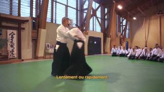 Stage International d'Aikido du VIGAN 1990/2015 - Episode 2 : IKEDA Sensei