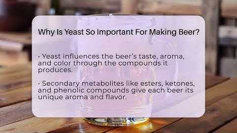 Why Is Yeast So Important For Making Beer? - The Pint Guy
