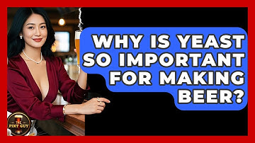Why Is Yeast So Important For Making Beer? - The Pint Guy