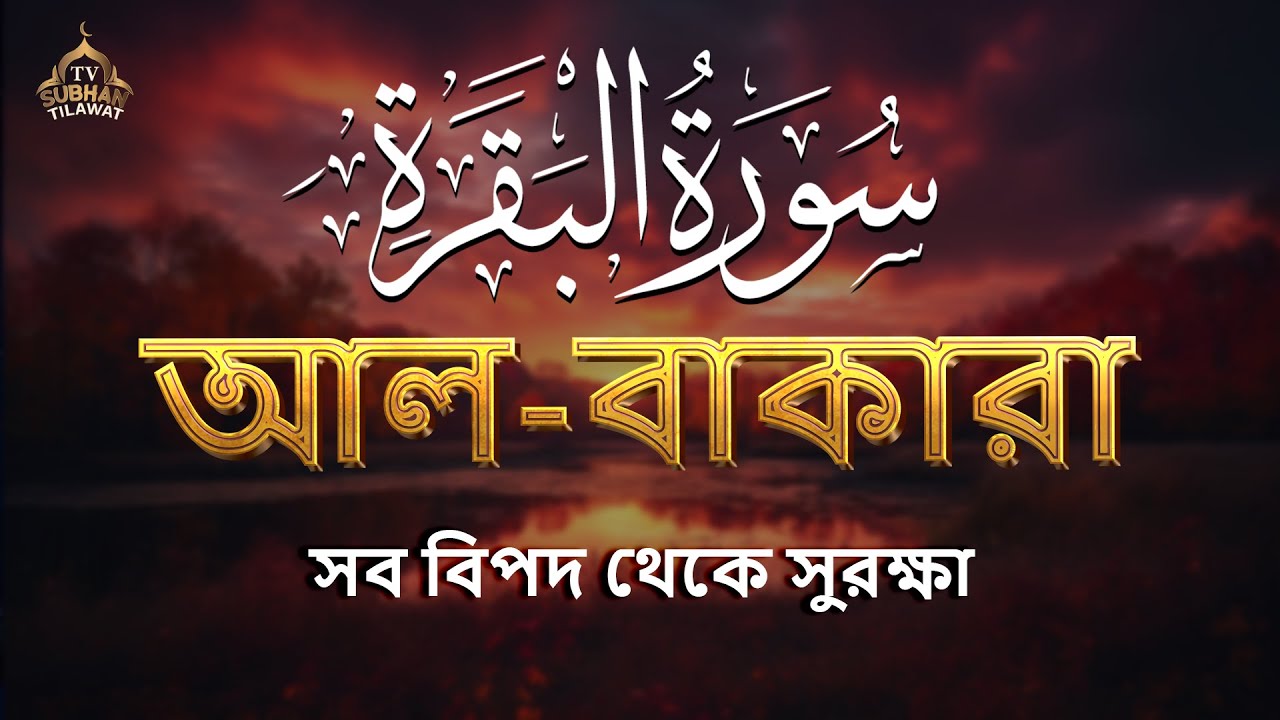 🌿 পৃথিবীর সবচেয়ে আবেগময় সুরা বাকারা তেলাওয়াত | Surah Al Baqarah (سورة البقرة) by Alaa Aqel 🎧
