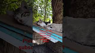 fresh air relax ang mga Meng Meng
