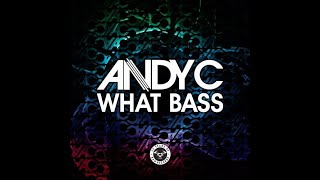 Andy C - What Bass ╚(｀▪´)╗ Drum N' Bass