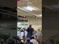 الفيل مالكني ملك اليديني mp3