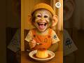 Monkey Eats Crème Caramel (Flan) 🐒🍮😂 | Singe drôle mange flan