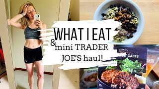 HIGH FIBER & PROTEIN MEALS I EAT (Vegan + Gluten Free)