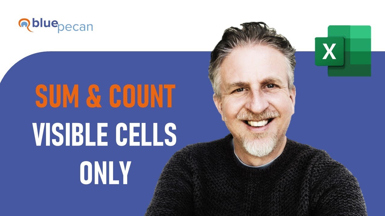 SUM and COUNT Visible Cells Only | Exclude Hidden Cells