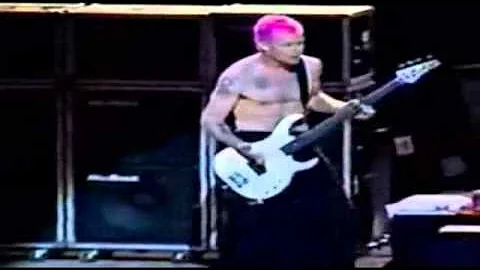 Red Hot Chili Peppers Credicard Hall 1999 - Freaky Styley Solo