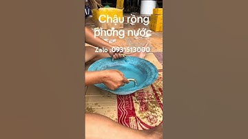 Chậu rồng phung nước #đồcổcầnthơ #phongthuy #đồcổ