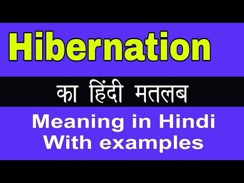 वीडियो: हाइबरनेटर्स क्या खाते हैं?