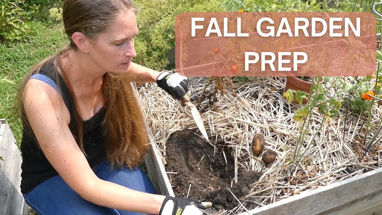 Plant Fall Vegetables with Me, Harvest Sweet Potato Vines, and Join Me on an August Garden Tour