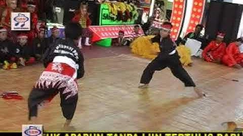 Atraksi Pencak Silat Sakti VS Hewan [Official Music Video]