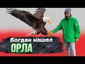 Богдан нашел орла. Как мы участвовали в конкурсе