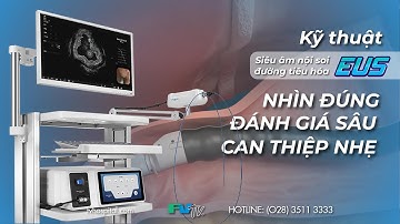 EUS – KỸ THUẬT “NHÌN XUYÊN” LÒNG ỐNG TIÊU HÓA - CHẨN ĐOÁN UNG THƯ GIAI ĐOẠN SỚM