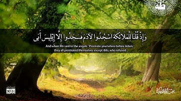 تلاوة مميزة لما تيسر من سورة طه للقارئ #عبدالولي_الاركاني